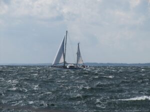 IMG_4369-scaled-1.jpg