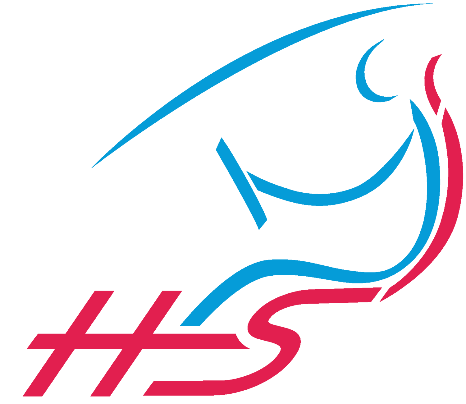 logo_partner_fahrschule-hs